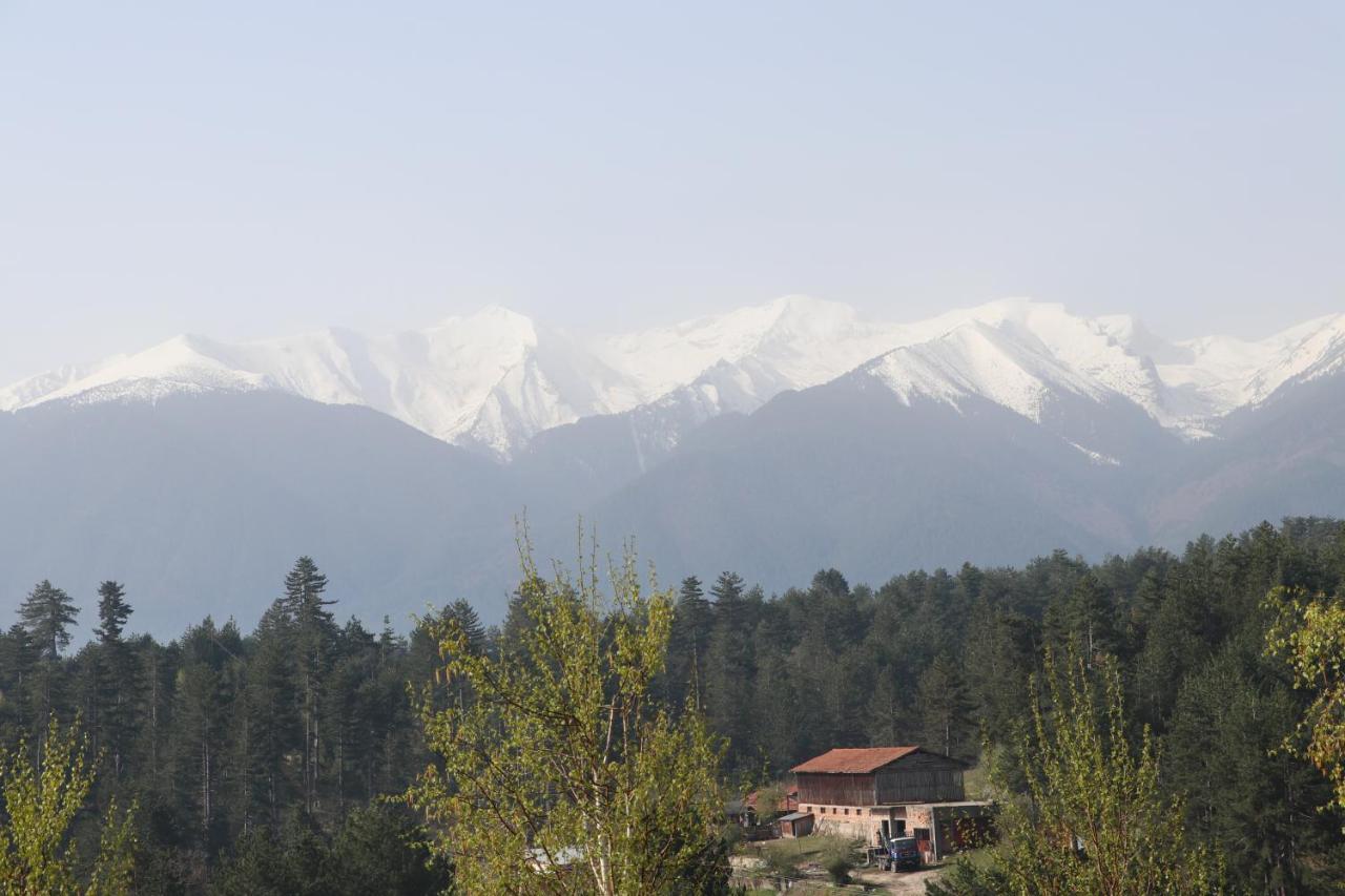 Katarino Spa Hotel Bansko Exterior foto